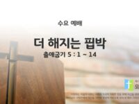 2025년 06월 25일 수요 예배 : 더 해지는 핍박 / 출애굽기 5: 1 ~ 14