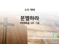 2025년 08월 27일 수요 예배 : 분별하라 / 마태복음 10 : 16