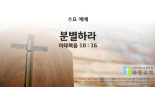 2025년 08월 27일 수요 예배 : 분별하라 / 마태복음 10 : 16