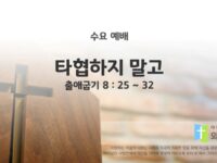 2025년 09월 03일 수요예배 : 타협하지 말고 / 출애굽기 8 : 25 ~ 32