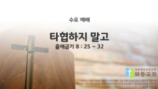 2025년 09월 03일 수요예배 : 타협하지 말고 / 출애굽기 8 : 25 ~ 32