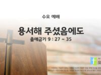 2025년 10월 15일 수요 예배: 용서해 주셨음에도 / 출애굽기 9 : 27 ~ 35