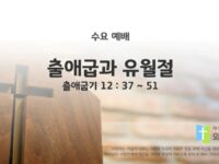 2025년 12월 17일 수요 예배 : 출애굽과 유월절 / 출애굽기 12 : 37 ~ 51