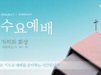 2026년 6월 17일 수요 예배 : 가치와 희생 / 마태복음 13 : 44 ~ 50