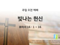 2025년 06월 15일 주일 예배: 빛나는 헌신