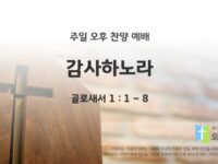 2025년 04월 20일 찬양 예배 : 감사하노라