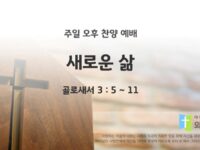 2025년 07월 06일 찬양 예배 : 새로운 삶