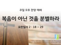 2025년 09월 14일 찬양 예배 : 복음이 아닌 것을 분별하라